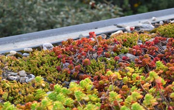 the cost of Bunarkaig green roof installation